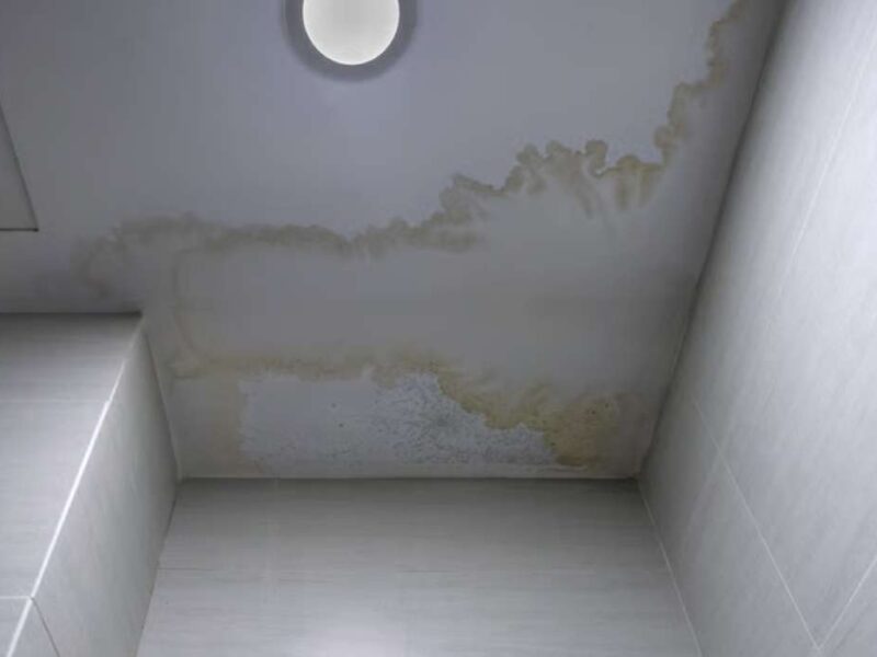 Logement & budget